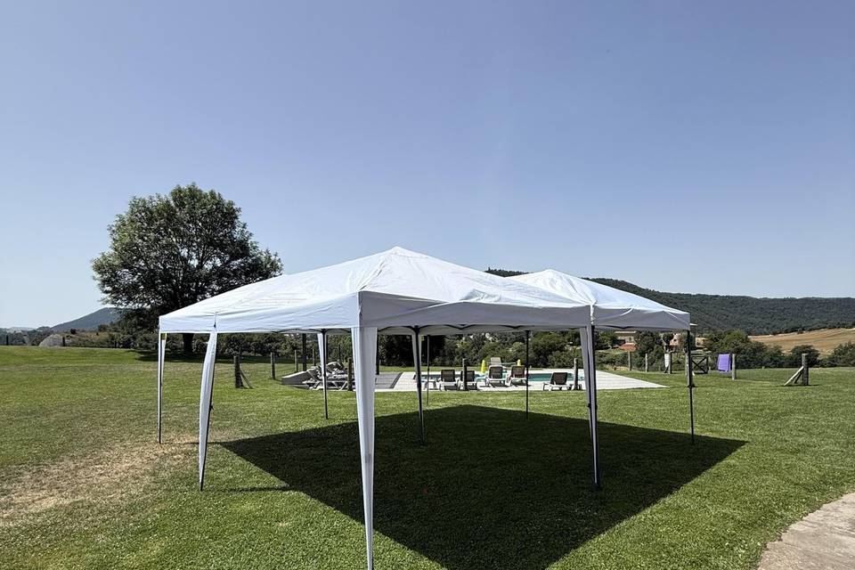 Carpas