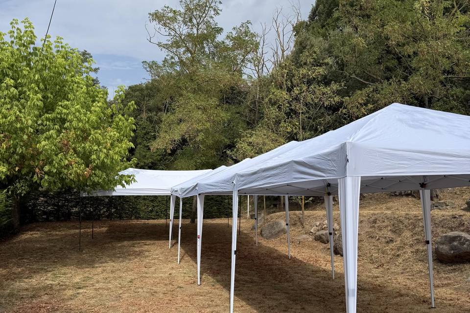 Carpas