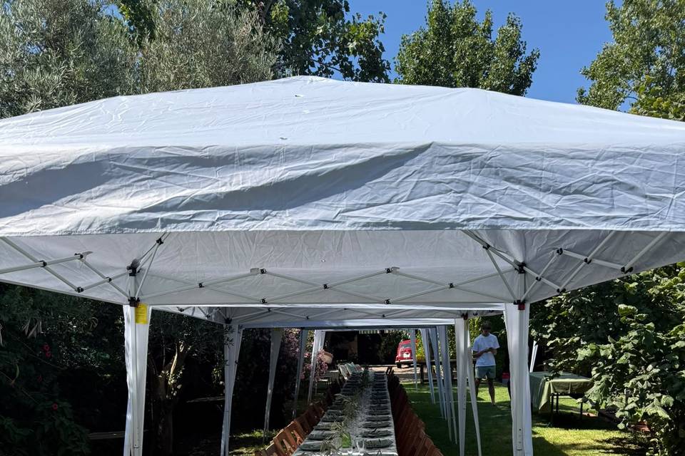 Carpas y sillas