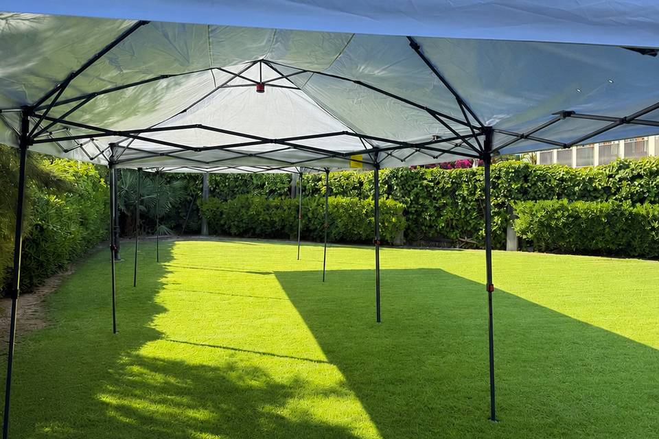 Carpas