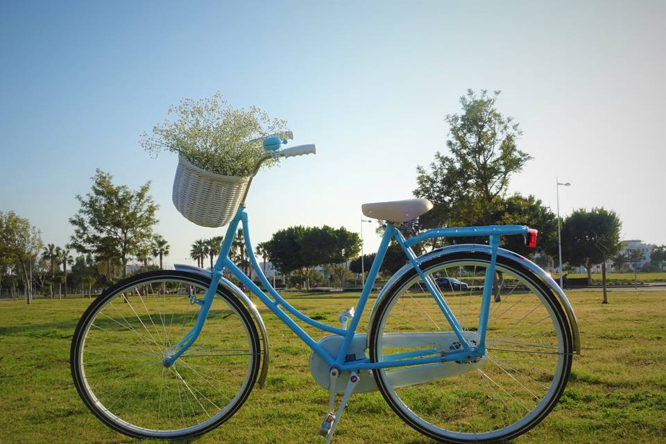 Bicicleta vintage