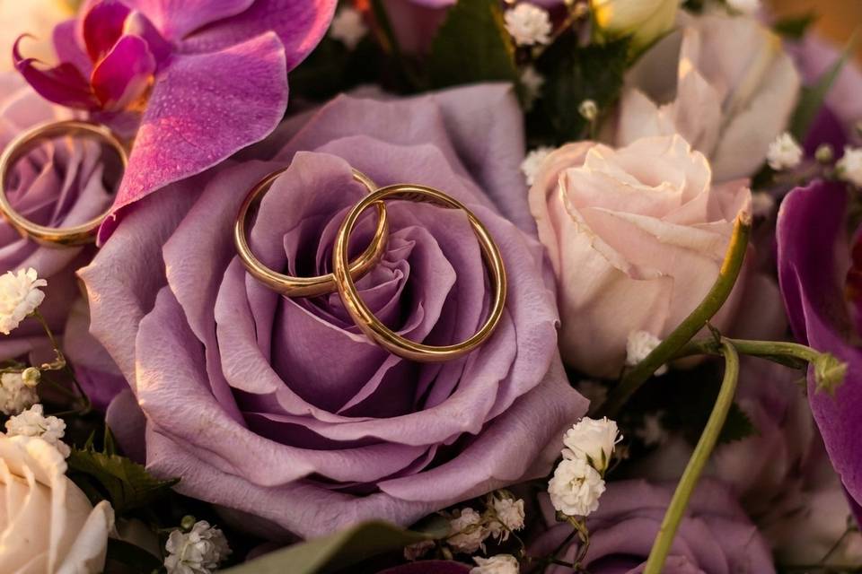 Anillos