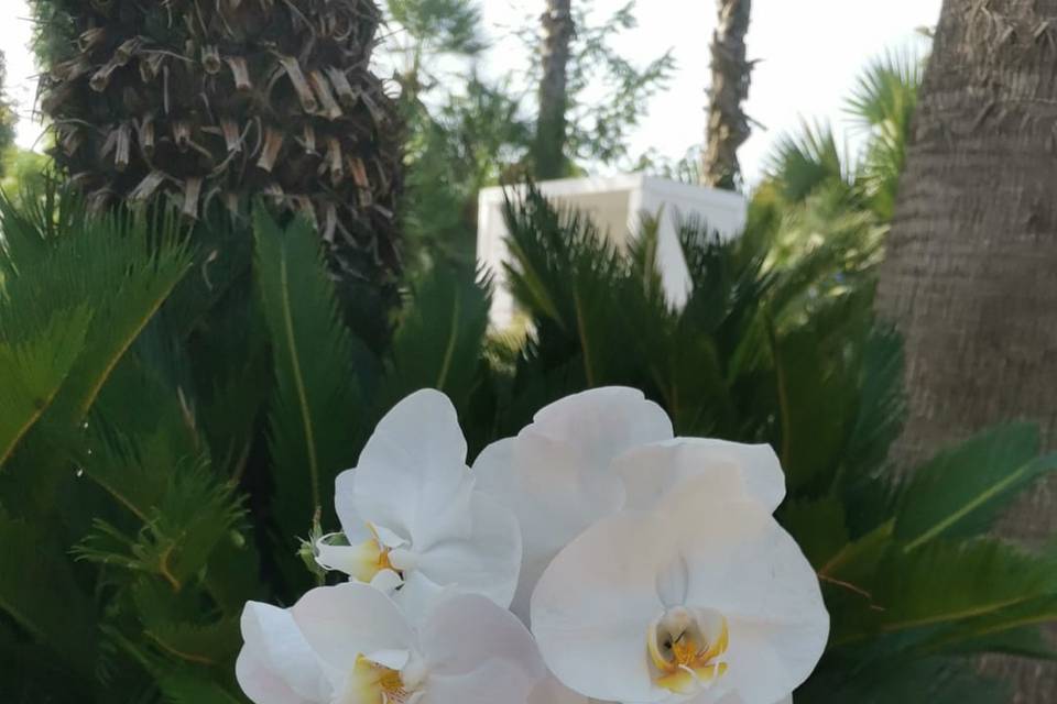 Ramo de novia colgante
