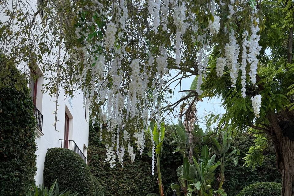 Ceremonia