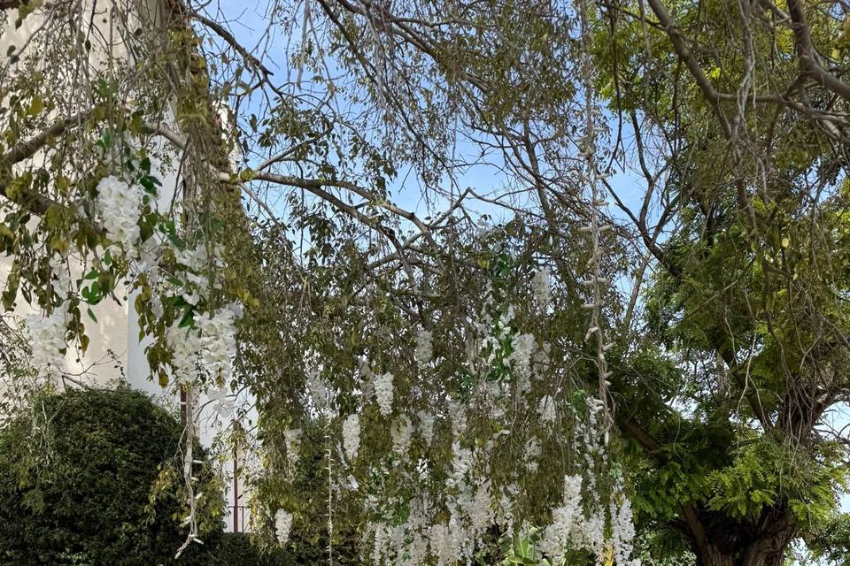Detalle floral