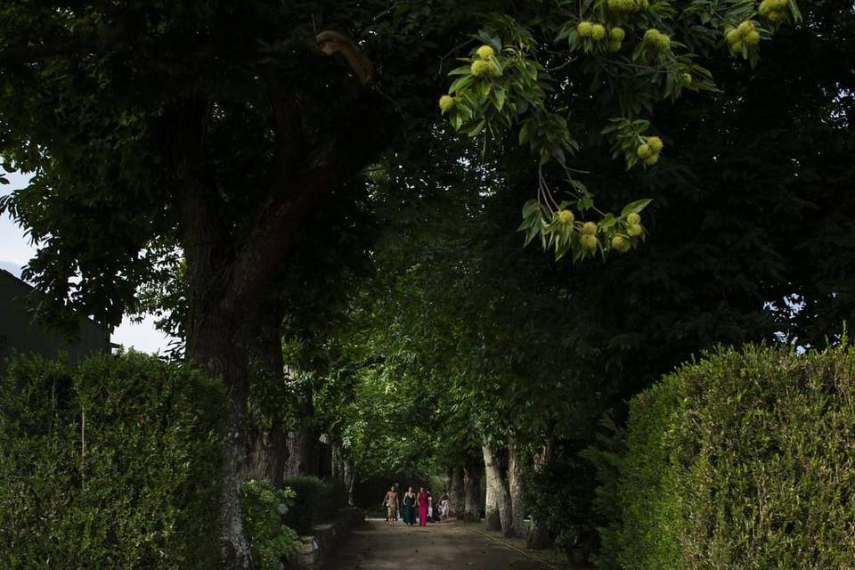 Paseo a ceremonia