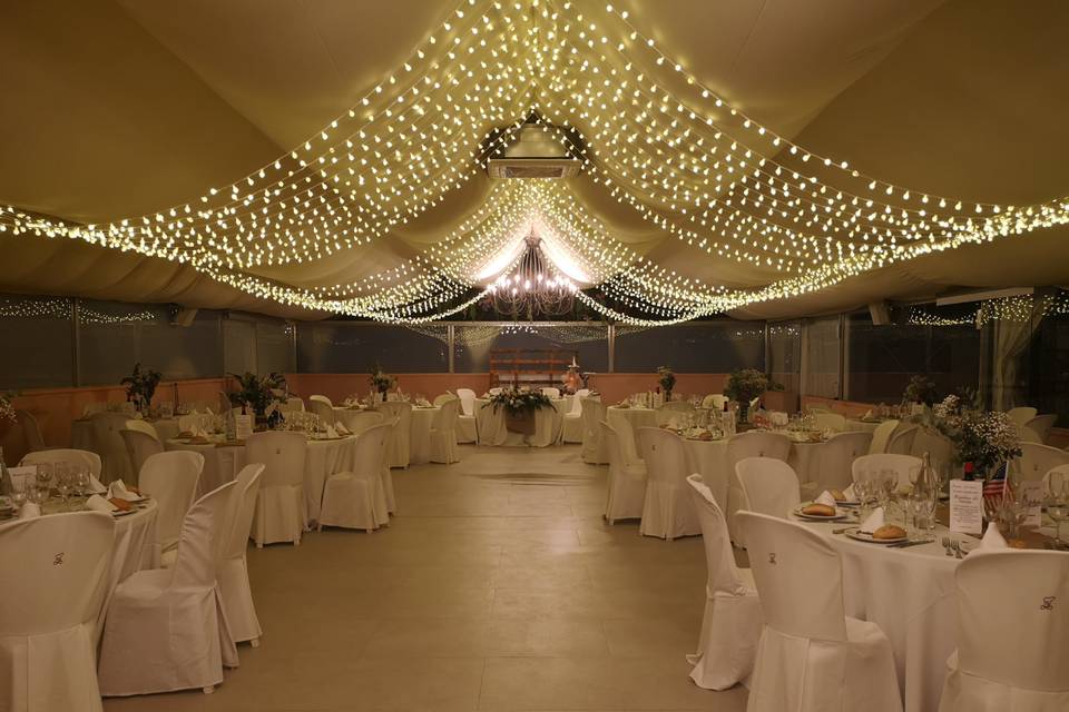 Elegante