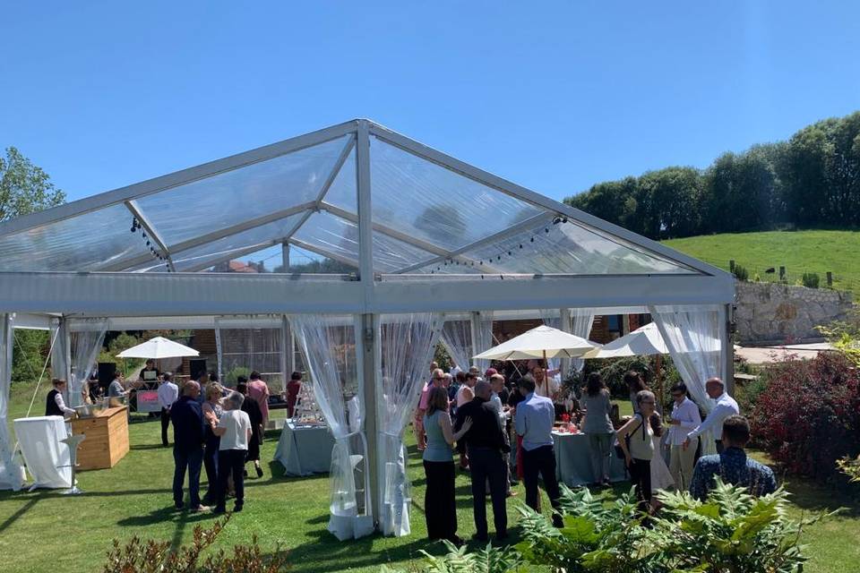 Carpa en jardín