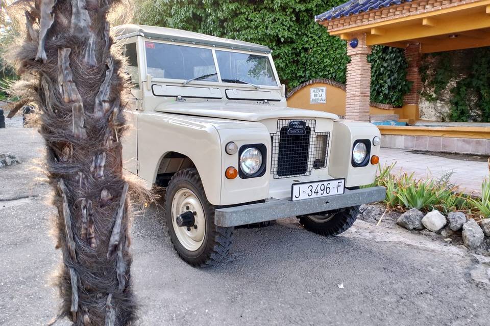 Delantera