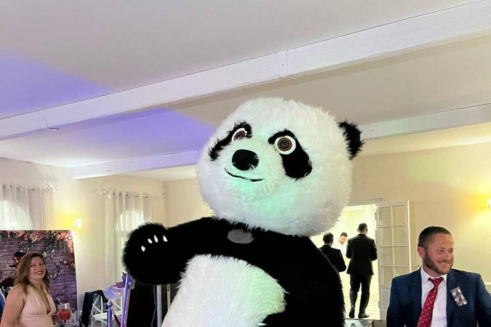 Panda gigante