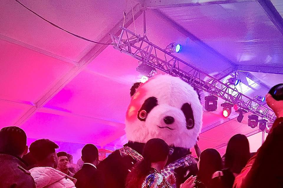 Panda gigante