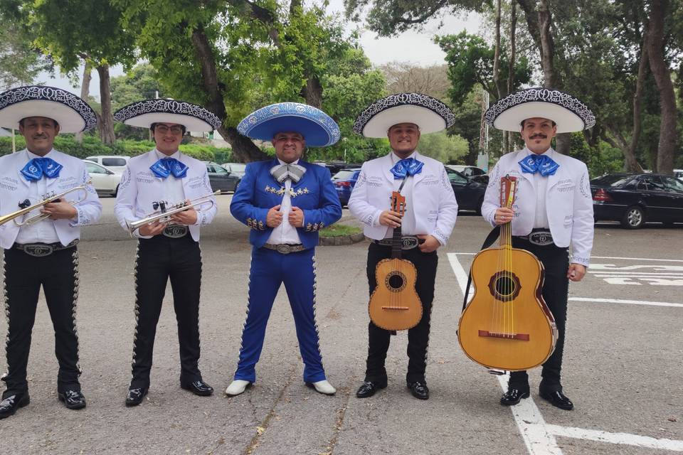 Boda en Noja