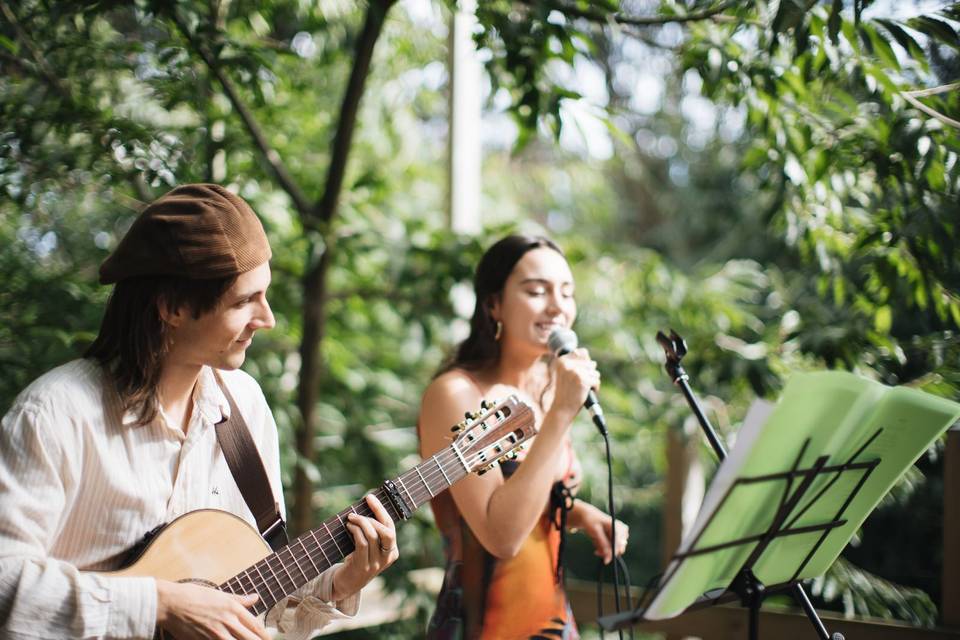 Profesionalidad musical