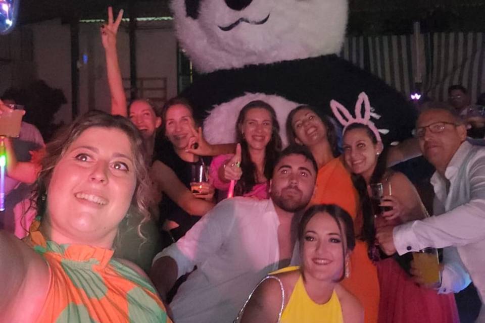 Panda gigante