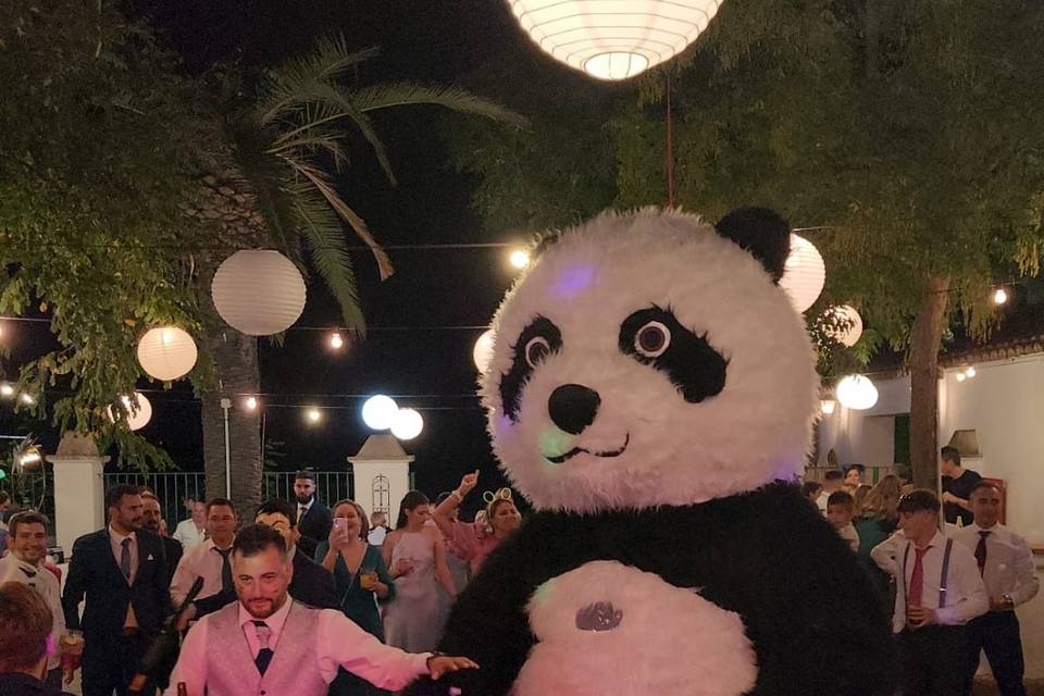 Panda torri y Rafael