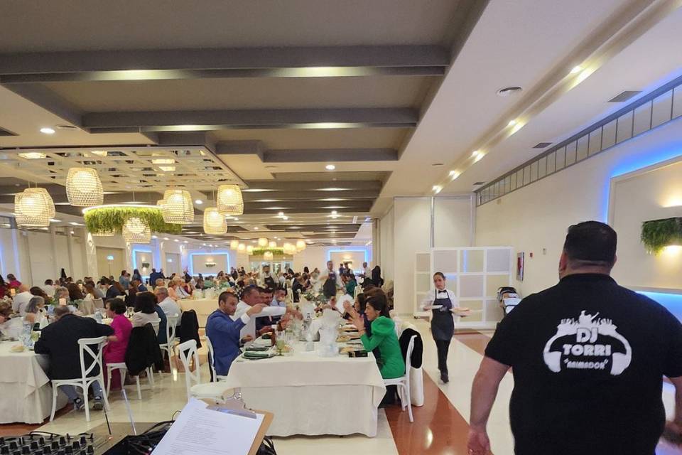 SONORIZACION BANQUETE
