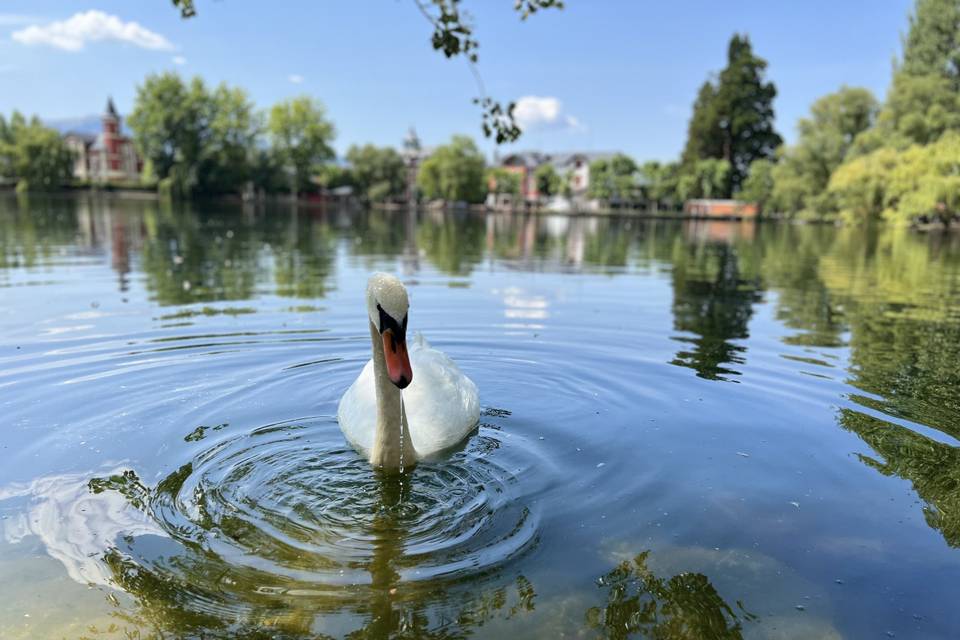 Foto de la naturaleza