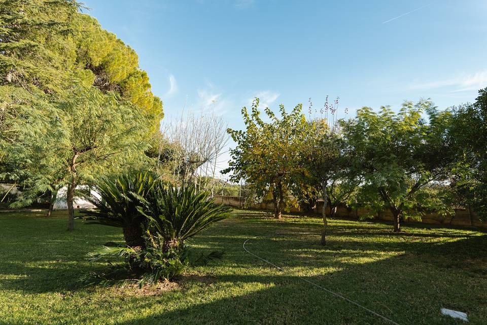 Zona de césped