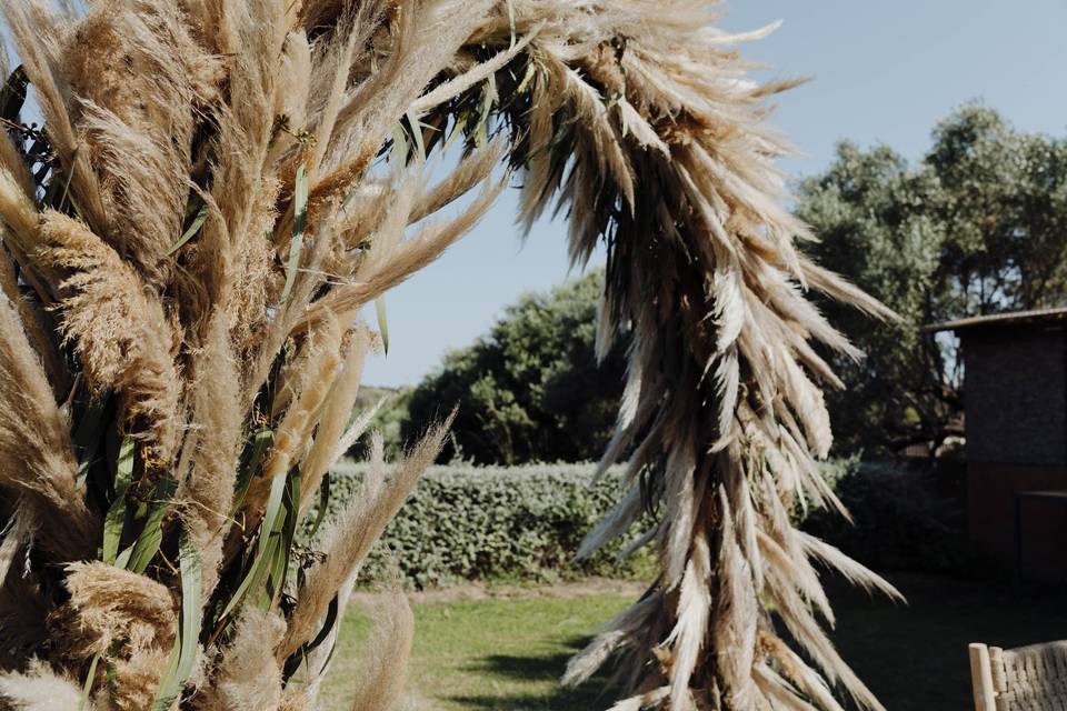 Arco de pampas