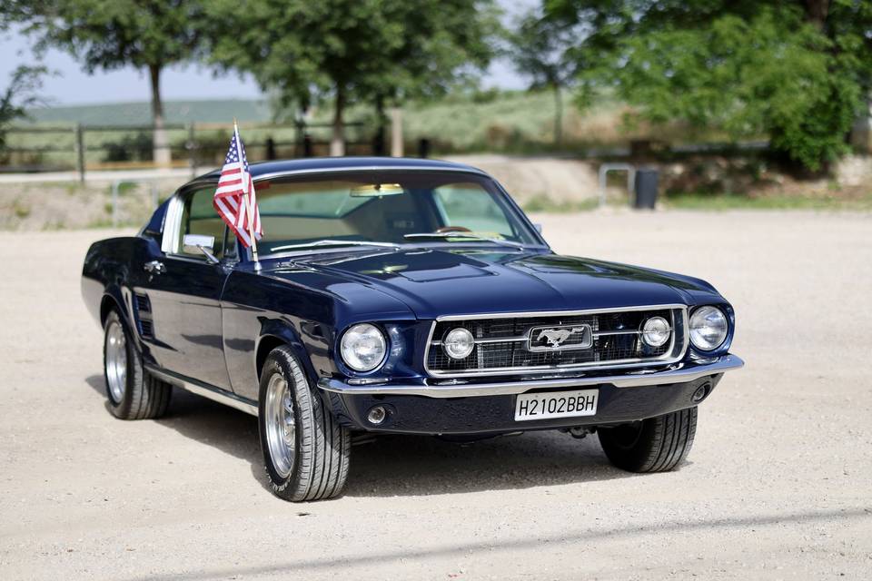Ford mustang