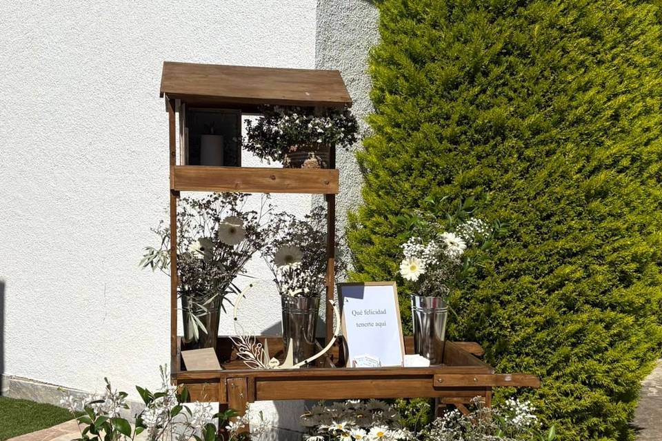 Bodas