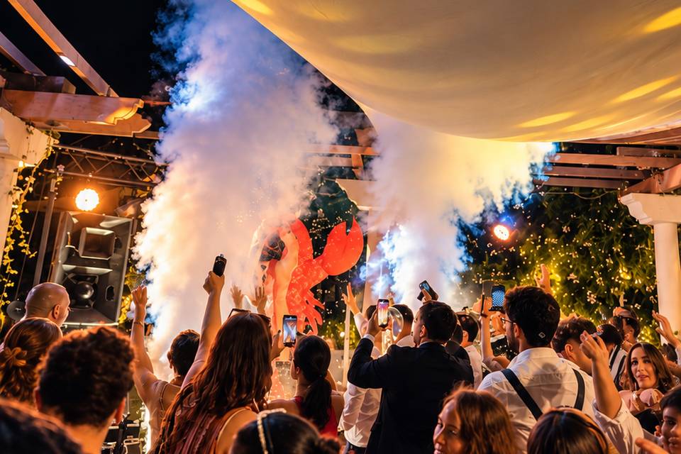 Alucina Experience