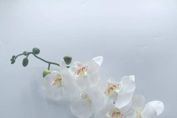 Paquetes para regalos de boda