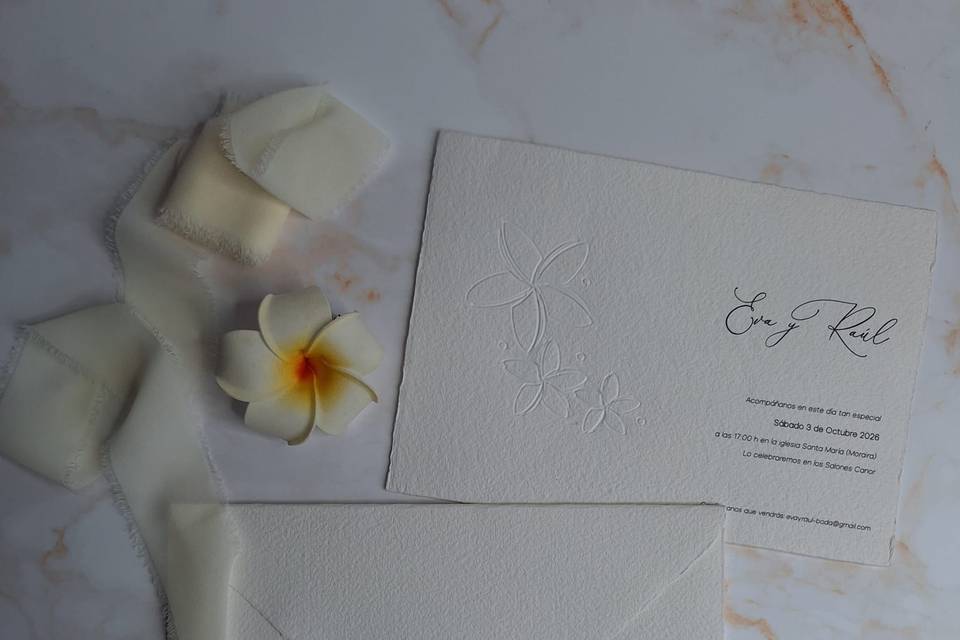 Azahar Studio Creativo