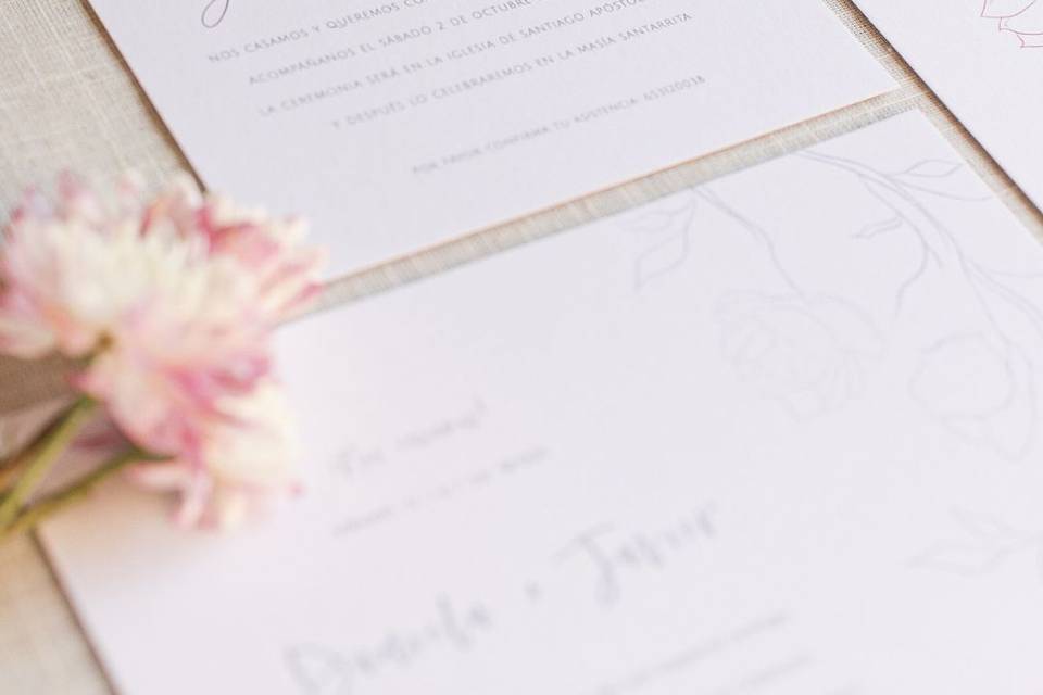 Azahar Studio Creativo