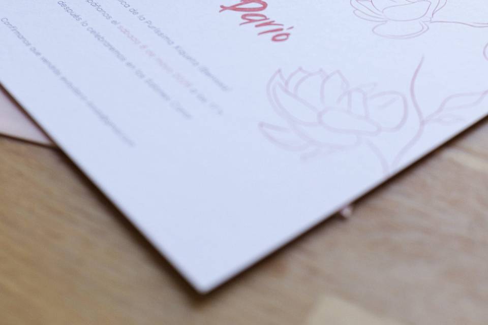Azahar Studio Creativo