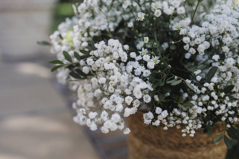 Flores