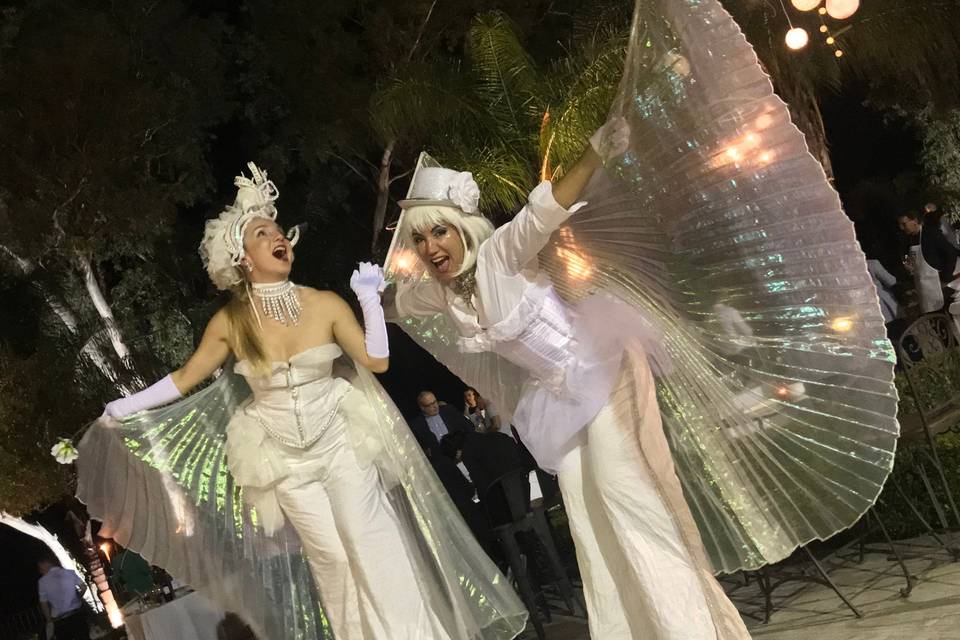 White performance ciamajareta
