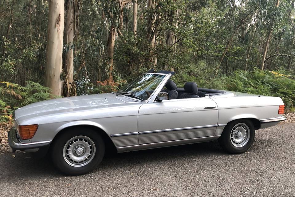 Mercedes Benz