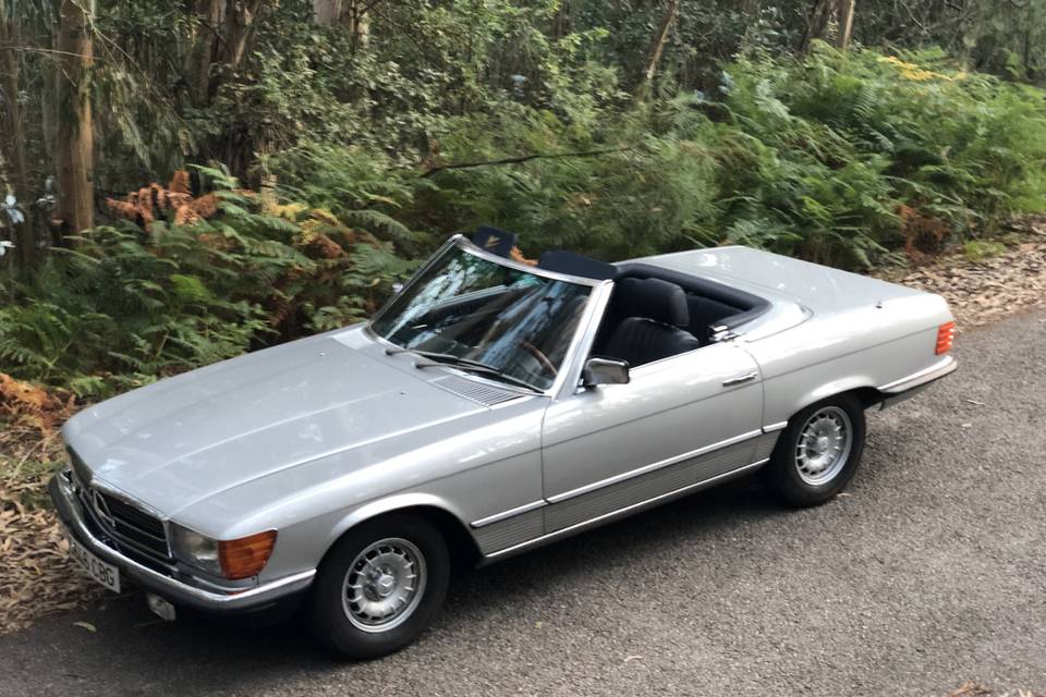 Mercedes Benz