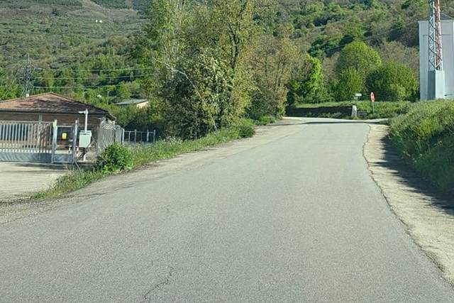 Camino
