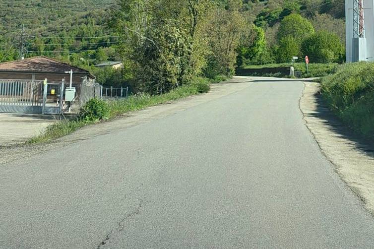 Camino