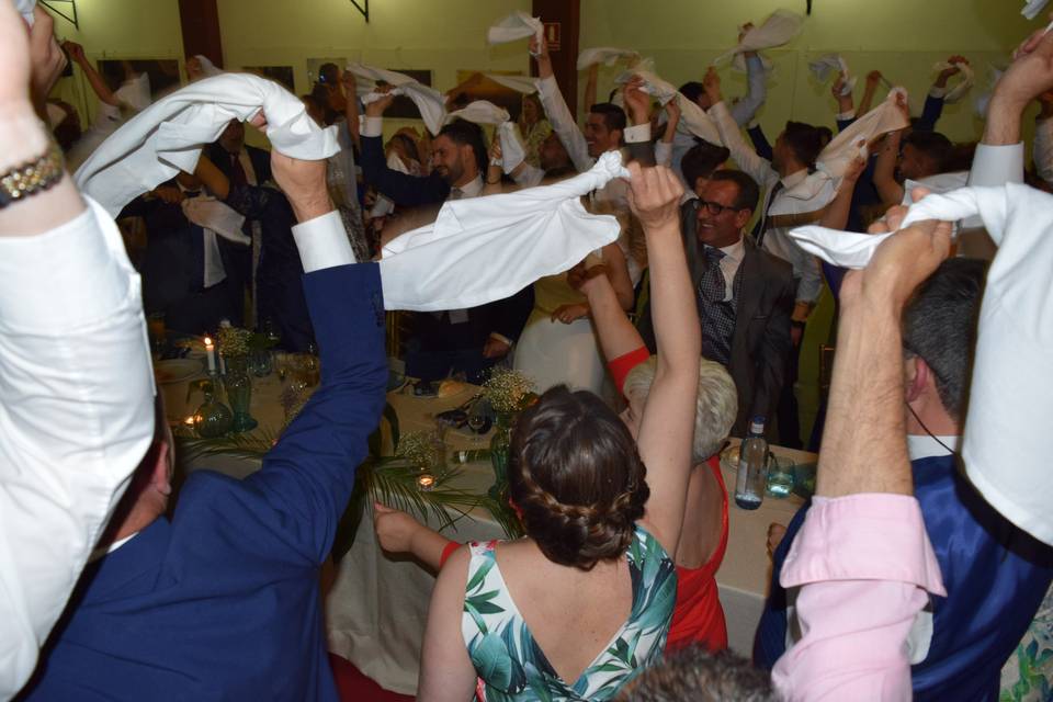 Animatuboda