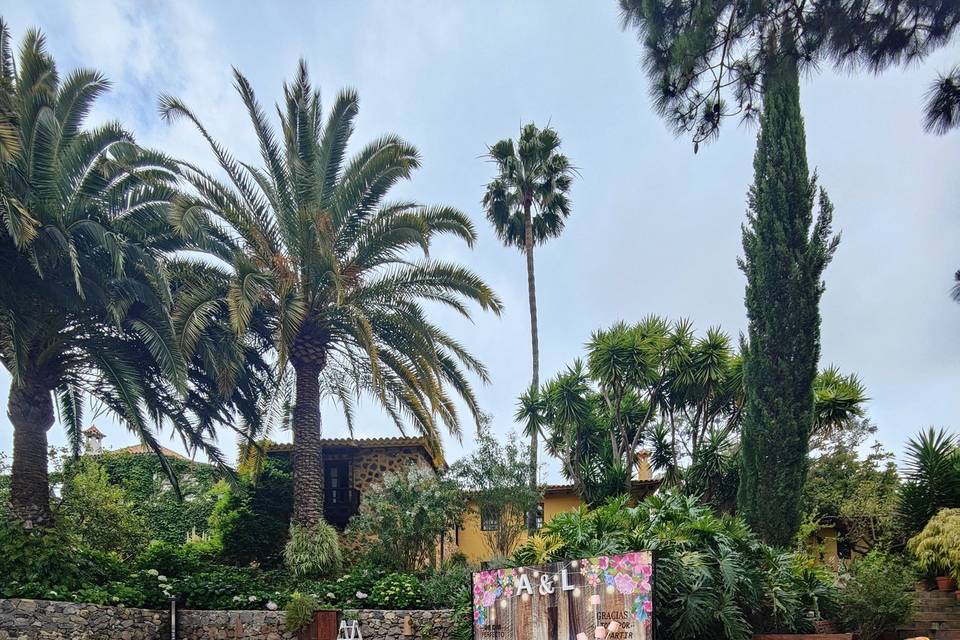 Pista de baile/photocall