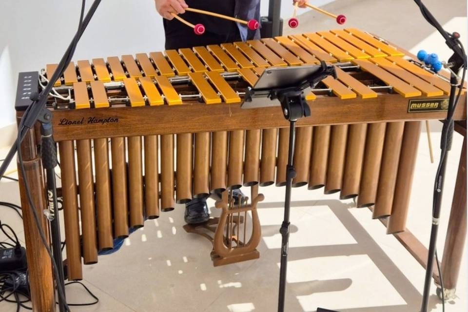 Banda con vibráfono