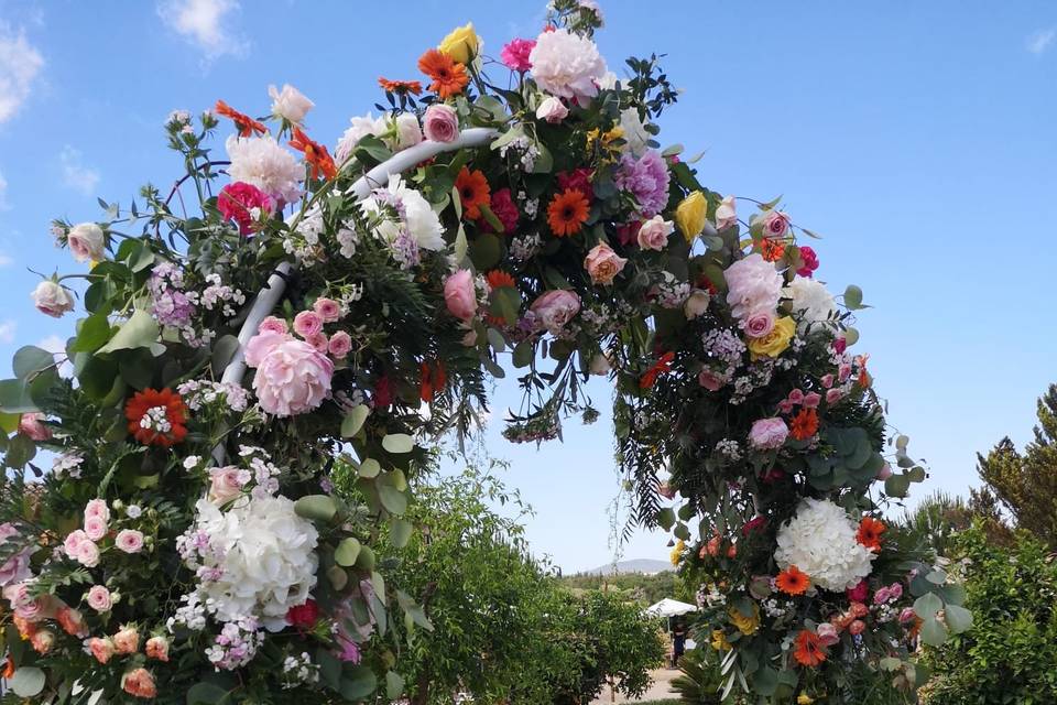 Tallo Floristas