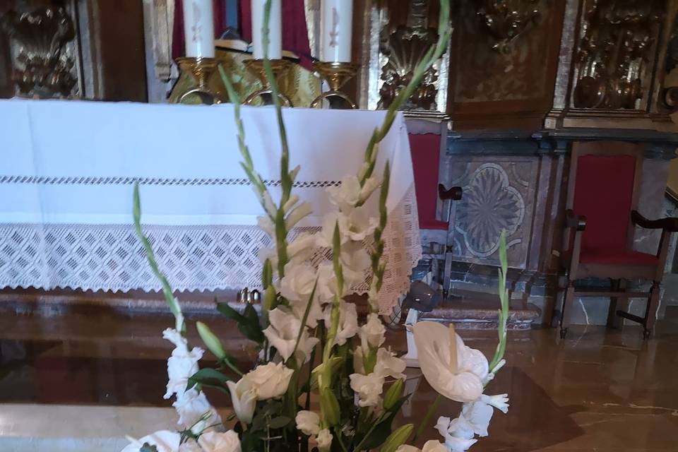 Tallo Floristas
