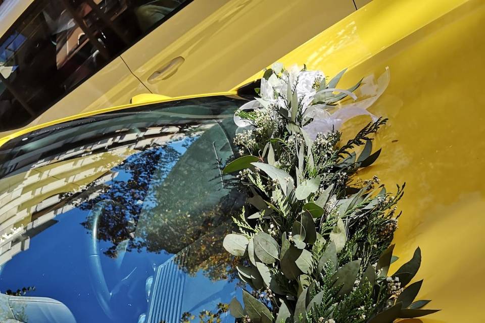 Tallo Floristas