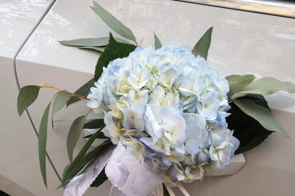 Tallo Floristas