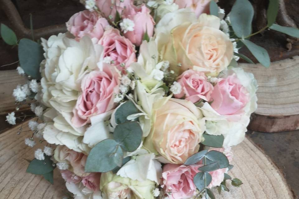 Tallo Floristas