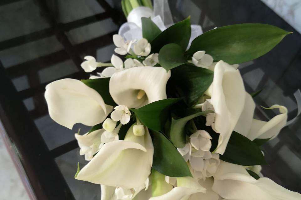 Tallo Floristas