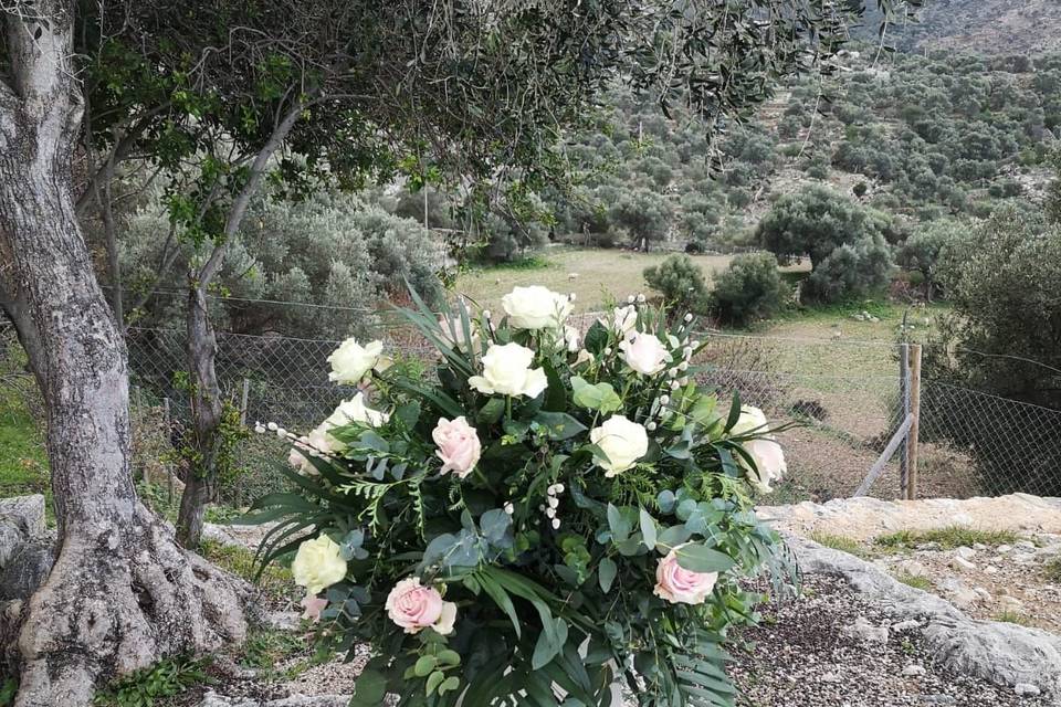 Tallo Floristas