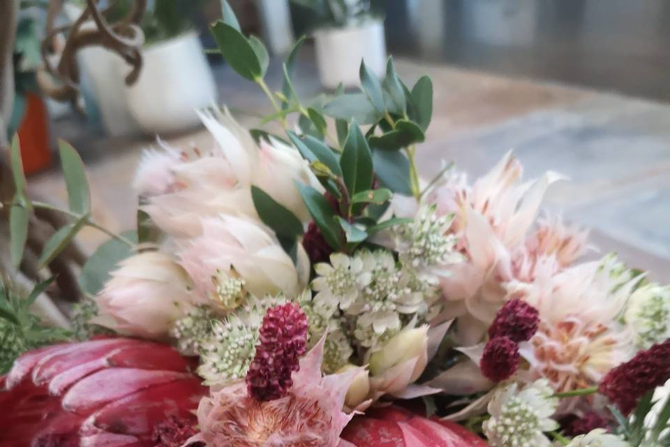 Tallo Floristas