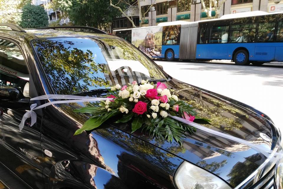 Tallo Floristas