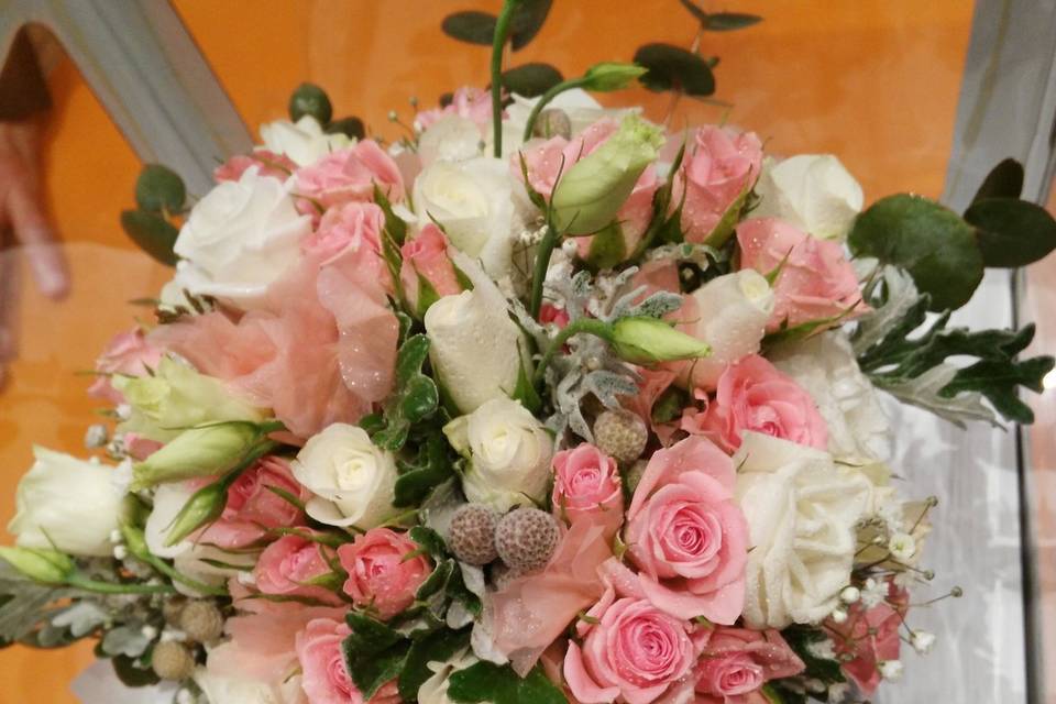 Tallo Floristas