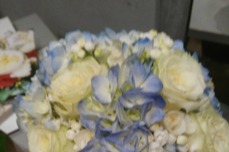 Tallo Floristas